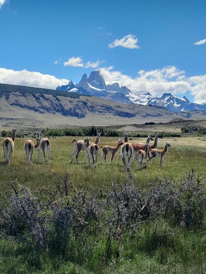 Vera Apart El Chaltén Exterior foto